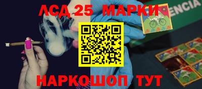 гашик Новодвинск