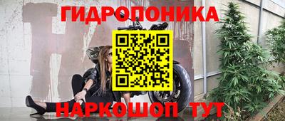 гашик Новодвинск