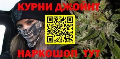 гашик Новодвинск