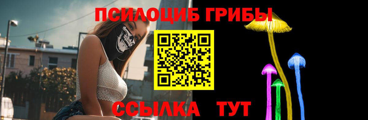 Солнечногорск  Псилоцибиновые грибы Magic Shrooms  Вход с VPN 