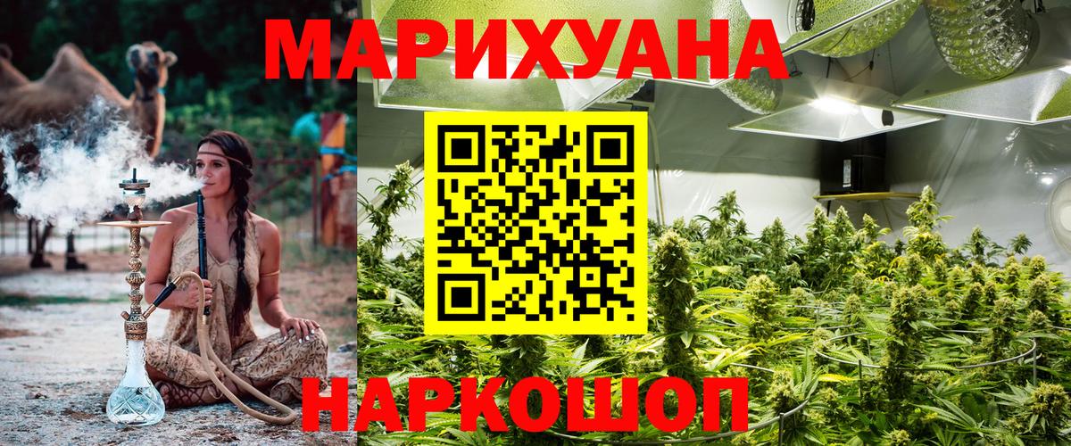 Марихуана планчик Солнечногорск